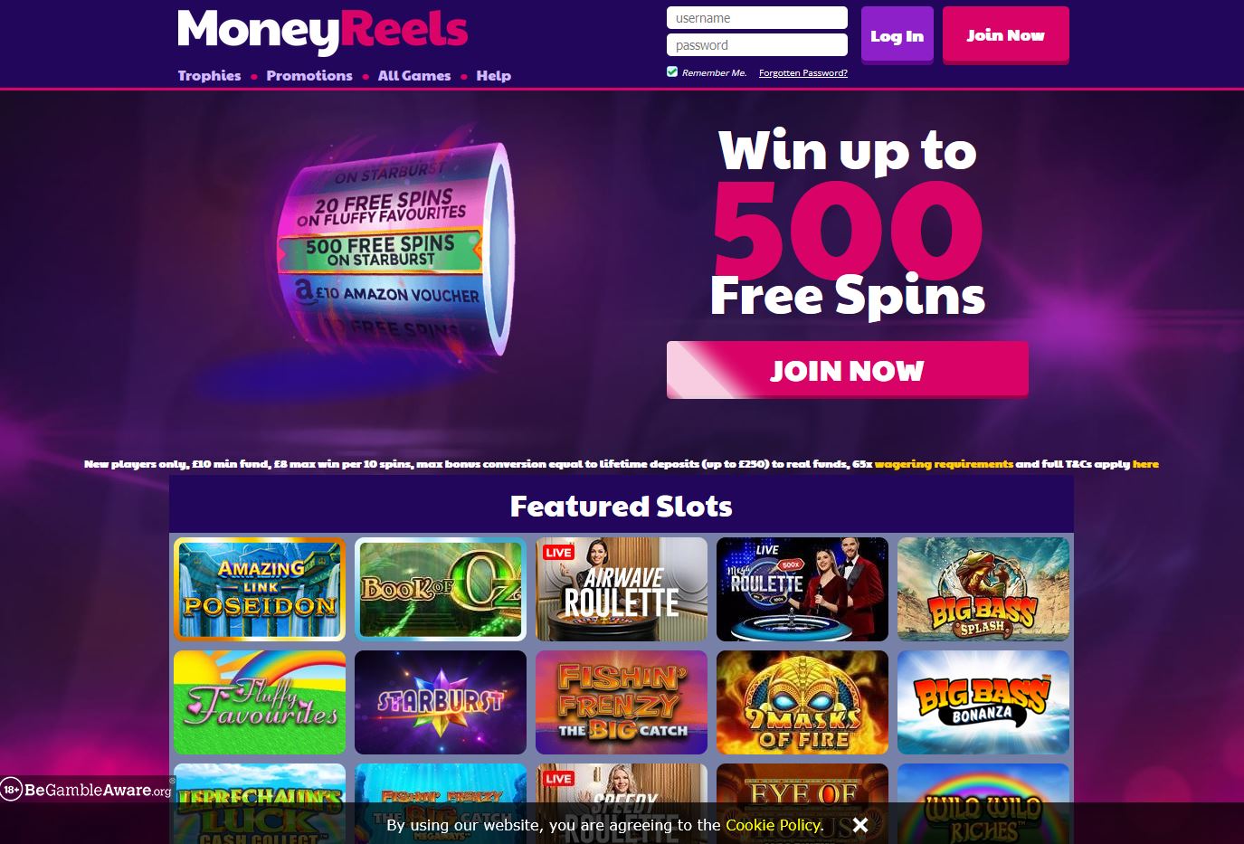 MoneyReels Website Screenshot