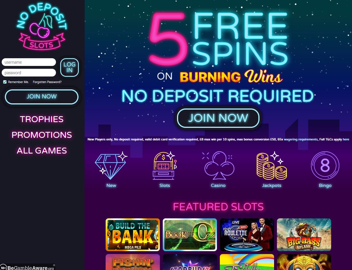 No Deposit Slots Website Screenshot