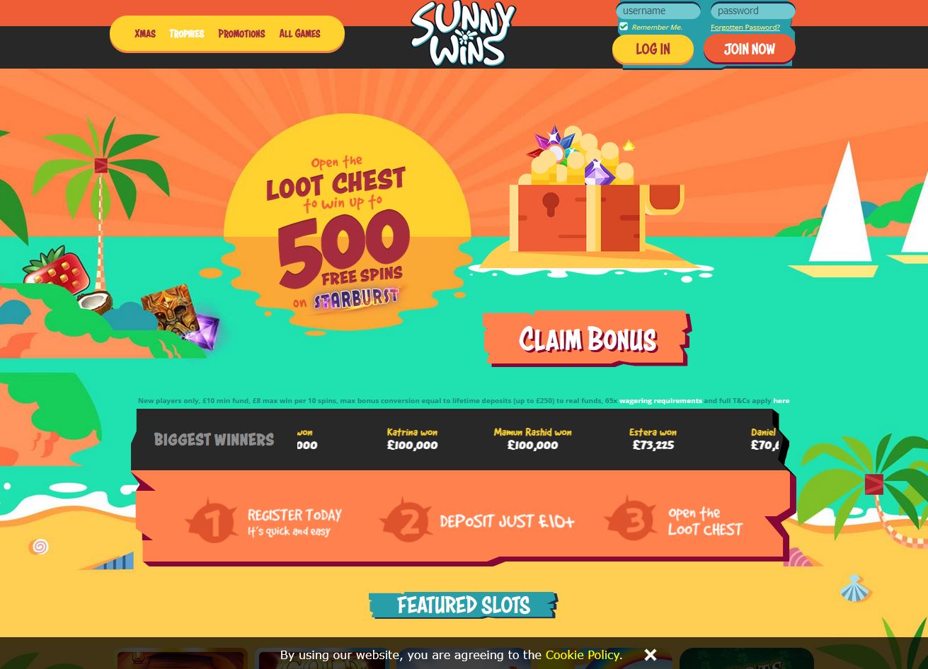 Sunny Wins Website Screenshot