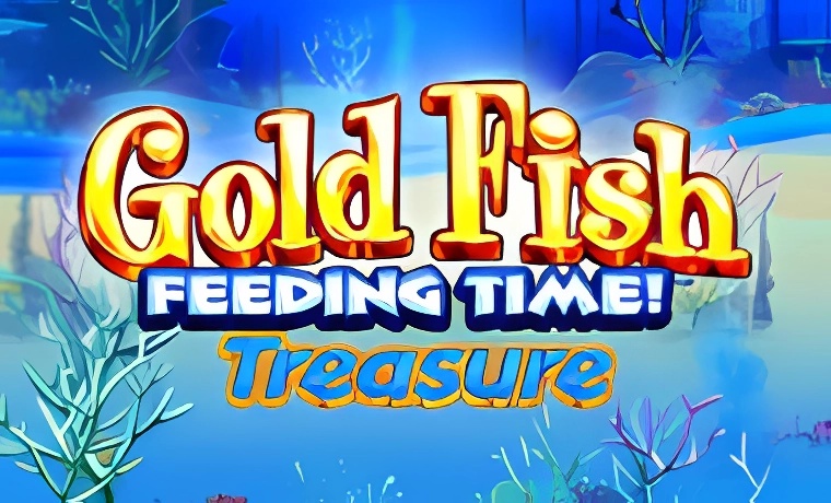 Gold Fish Feeding Time Slot