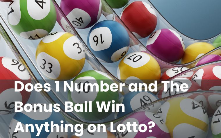 Does 1 Number and The Bonus Ball Win Anything on Lotto? - BestCasinoHQ